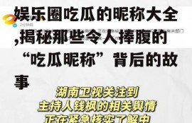 娱乐圈吃瓜的昵称大全,揭秘那些令人捧腹的“吃瓜昵称”背后的故事