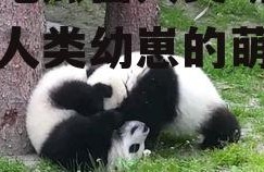 娱乐吃瓜酱人类幼崽,揭秘人类幼崽的萌态与成长