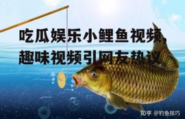 吃瓜娱乐小鲤鱼视频,趣味视频引网友热议