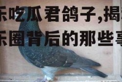 娱乐吃瓜君鸽子,揭秘娱乐圈背后的那些事儿