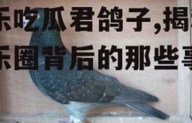 娱乐吃瓜君鸽子,揭秘娱乐圈背后的那些事儿