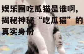 娱乐圈吃瓜猫是谁啊,揭秘神秘“吃瓜猫”的真实身份