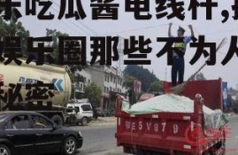 娱乐吃瓜酱电线杆,揭秘娱乐圈那些不为人知的秘密