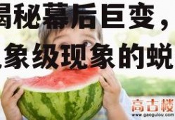 娱乐吃瓜酱到底什么变了,揭秘幕后巨变，探寻现象级现象的蜕变之路