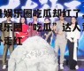 进娱乐圈吃瓜却红了,娱乐圈“吃瓜”达人意外走红