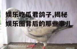 娱乐吃瓜君鸽子,揭秘娱乐圈背后的那些事儿