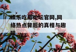 娱乐吃瓜论坛官网,网络热点背后的真相与趣味