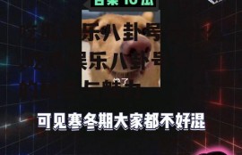 吃瓜娱乐八卦号是什么,吃瓜娱乐八卦号背后的秘密与魅力