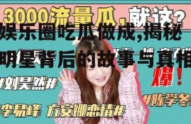 娱乐圈吃瓜做成,揭秘明星背后的故事与真相