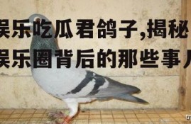 娱乐吃瓜君鸽子,揭秘娱乐圈背后的那些事儿