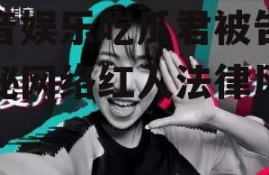 抖音娱乐吃瓜君被告,揭秘网络红人法律风险