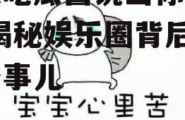 娱乐吃瓜酱说出你的故事,揭秘娱乐圈背后的那些事儿