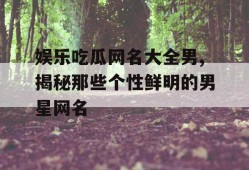 娱乐吃瓜网名大全男,揭秘那些个性鲜明的男星网名