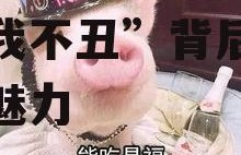 娱乐吃瓜酱我不丑,揭秘“我不丑”背后的故事与魅力