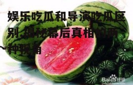 娱乐吃瓜和导演吃瓜区别,揭秘幕后真相的两种视角