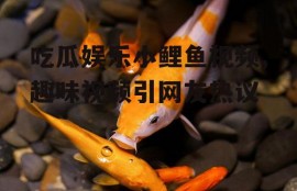 吃瓜娱乐小鲤鱼视频,趣味视频引网友热议