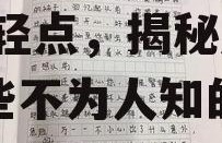 娱乐吃瓜酱嘘轻点作文,嘘，轻点，揭秘娱乐圈那些不为人知的秘密