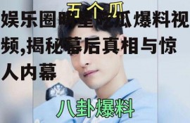 娱乐圈明星吃瓜爆料视频,揭秘幕后真相与惊人内幕