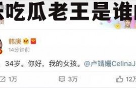 娱乐吃瓜老王是谁的小说