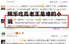 娱乐吃瓜老王是谁的小说