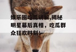 娱乐圈吃瓜讲解,揭秘明星幕后真相，吃瓜群众狂欢时刻！