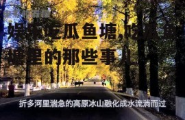 娱乐吃瓜鱼塘,吃瓜鱼塘里的那些事儿