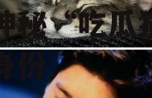 娱乐圈吃瓜猫是谁啊,揭秘神秘“吃瓜猫”的真实身份