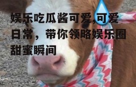 娱乐吃瓜酱可爱,可爱日常，带你领略娱乐圈甜蜜瞬间