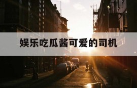 娱乐吃瓜酱可爱的司机
