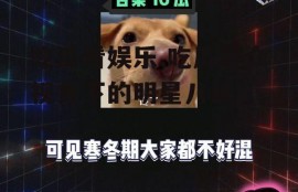 吃瓜看娱乐,吃瓜群众视角下的明星八卦