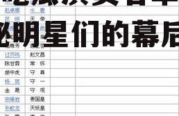 娱乐吃瓜演员名单表格,揭秘明星们的幕后故事