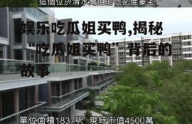 娱乐吃瓜姐买鸭,揭秘“吃瓜姐买鸭”背后的故事