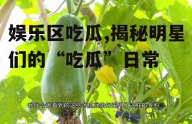 娱乐区吃瓜,揭秘明星们的“吃瓜”日常