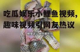 吃瓜娱乐小鲤鱼视频,趣味视频引网友热议