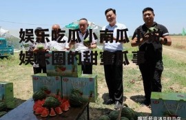 娱乐吃瓜小南瓜小说,娱乐圈的甜蜜瓜事