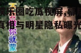 娱乐圈吃瓜视屏,幕后真相与明星隐私曝光