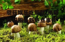 蘑菇娱乐吃瓜社,揭秘娱乐圈最新热点事件