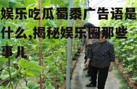 娱乐吃瓜蜀黍广告语是什么,揭秘娱乐圈那些事儿