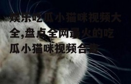 娱乐吃瓜小猫咪视频大全,盘点全网最火的吃瓜小猫咪视频合集