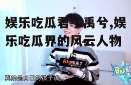 娱乐吃瓜君丁禹兮,娱乐吃瓜界的风云人物