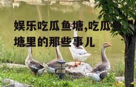 娱乐吃瓜鱼塘,吃瓜鱼塘里的那些事儿