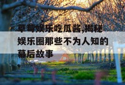 草莓娱乐吃瓜酱,揭秘娱乐圈那些不为人知的幕后故事