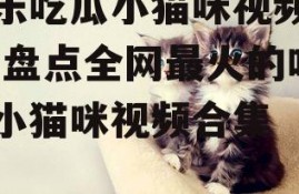 娱乐吃瓜小猫咪视频大全,盘点全网最火的吃瓜小猫咪视频合集