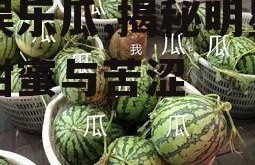 吃娱乐瓜,揭秘明星们的甜蜜与苦涩