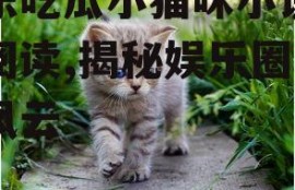 娱乐吃瓜小猫咪小说在线阅读,揭秘娱乐圈幕后风云