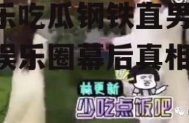 娱乐吃瓜钢铁直男,揭秘娱乐圈幕后真相