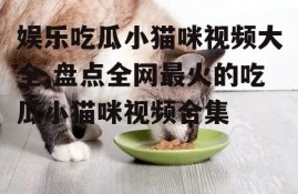 娱乐吃瓜小猫咪视频大全,盘点全网最火的吃瓜小猫咪视频合集