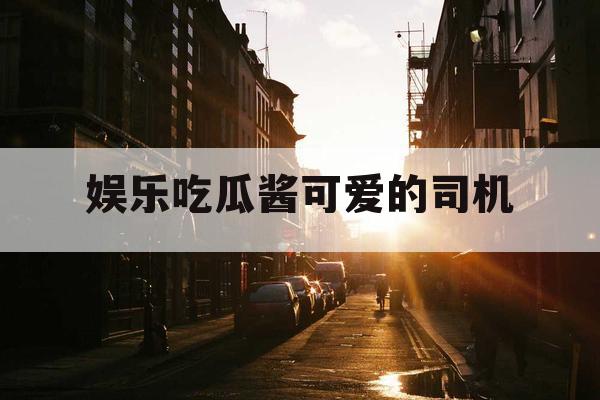 娱乐吃瓜酱可爱的司机