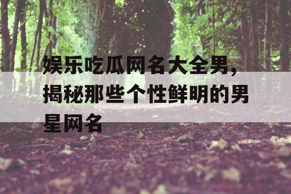 娱乐吃瓜网名大全男,揭秘那些个性鲜明的男星网名