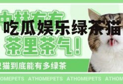 吃瓜娱乐绿茶猫